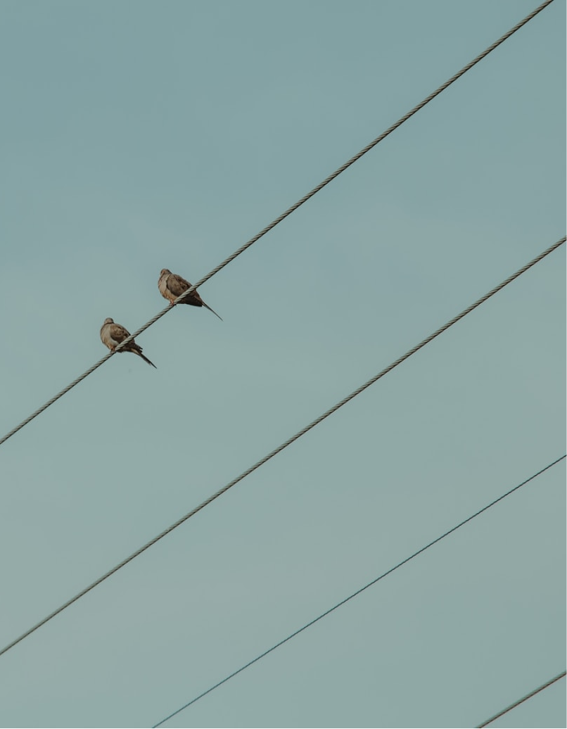 Distribuidora Eléctrica Bermejales