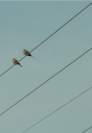 Adquirimos la distribuidora Eléctrica Guadalfeo, abasteciendo de energía eléctrica a la comarca de la Alpujarra.