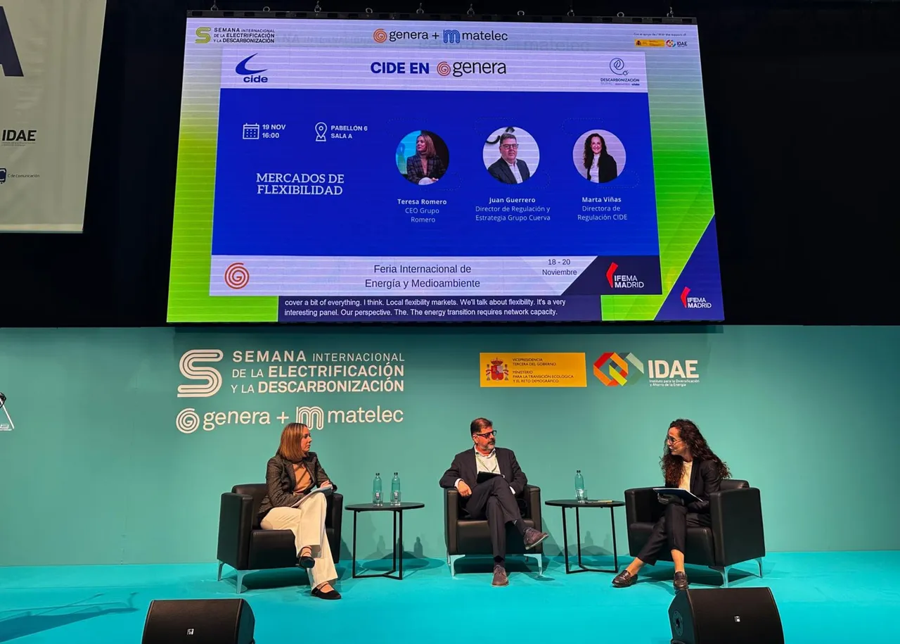 expertos en mesa redonda mercados de flexibilidad