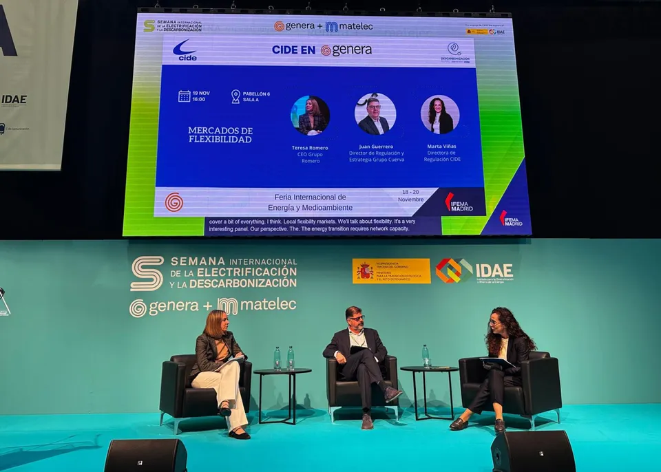 expertos en mesa redonda mercados de flexibilidad