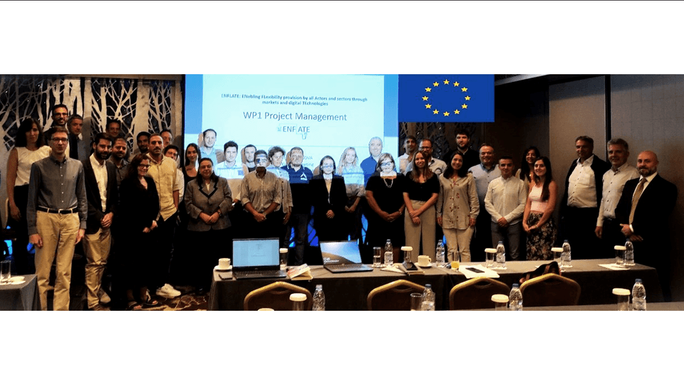 photo of the partners of the European project enflate