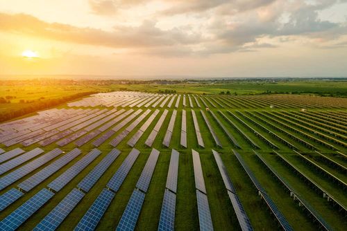 Agrovoltaica: Sinergia Entre La Agricultura Y La Energía Solar | Cuerva