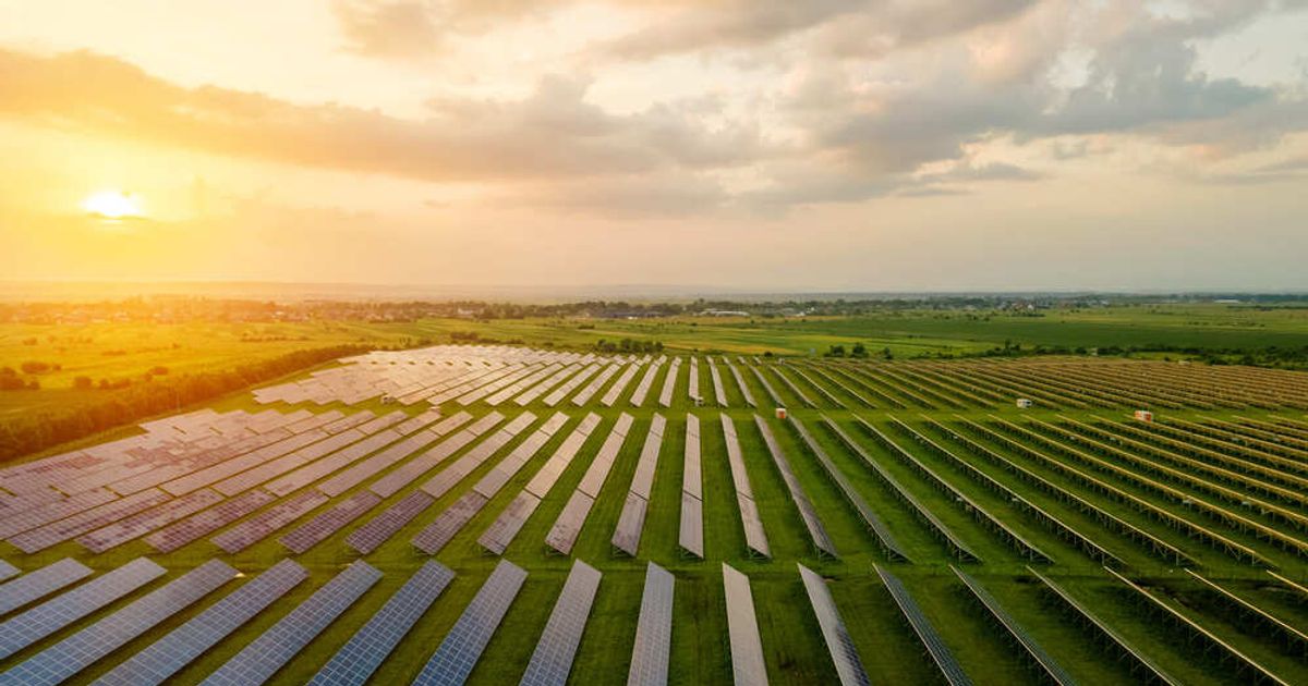 Agrovoltaica: Sinergia Entre La Agricultura Y La Energía Solar | Cuerva