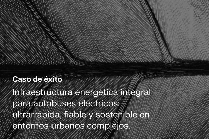 Card image - Caso de éxito Alsa