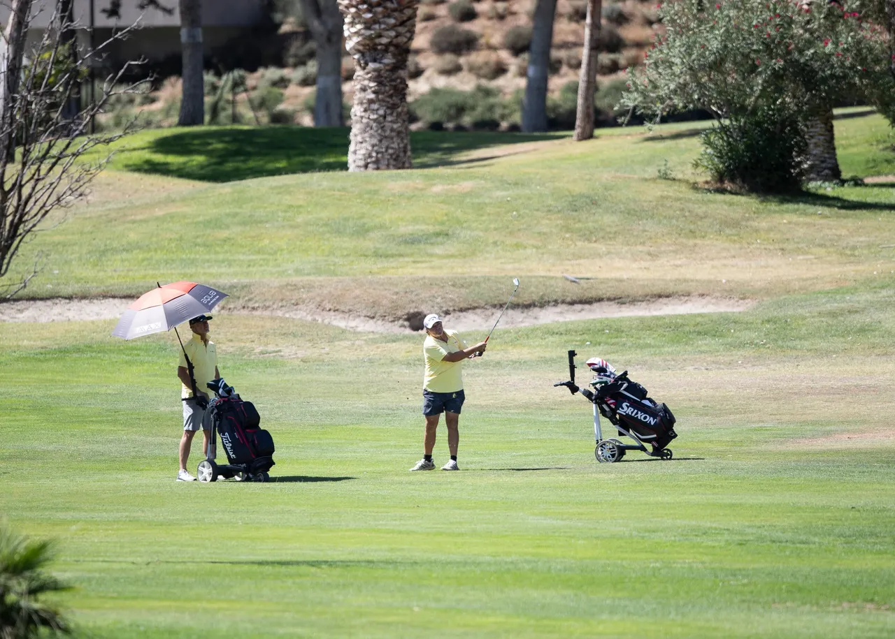 jugadores en campo de golf