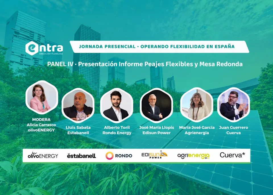 participantes panel iv informe sobre peajes flexibles