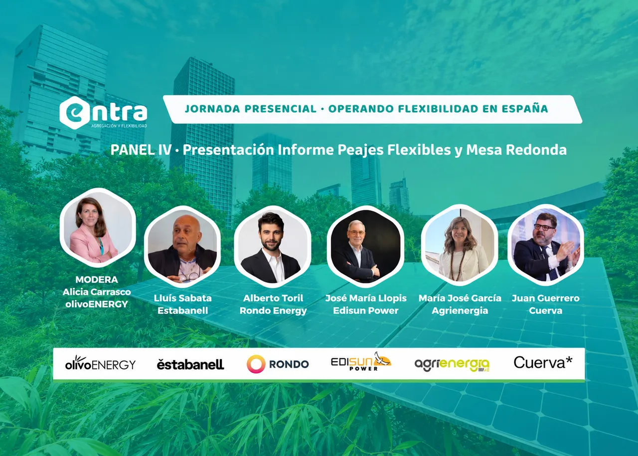 participantes panel iv informe sobre peajes flexibles